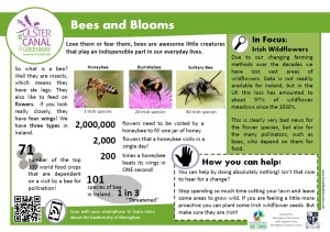 info bees and blooms